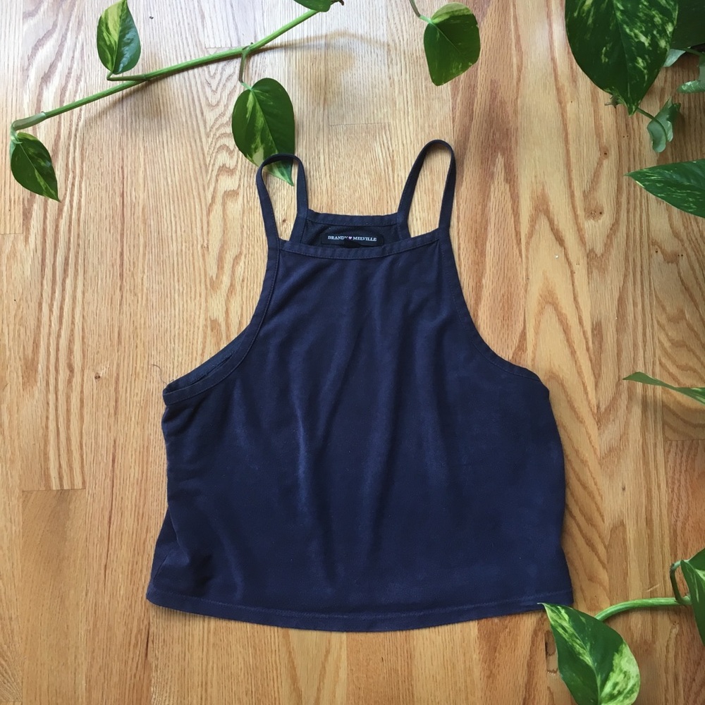 Brandy Melville Crop Top